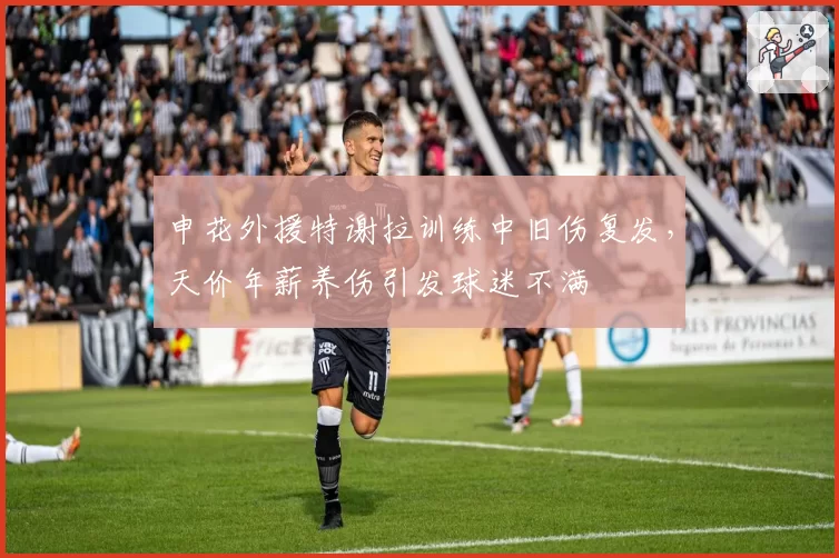 申花外援特谢拉训练中旧伤复发,天价年薪养伤引发球迷不满