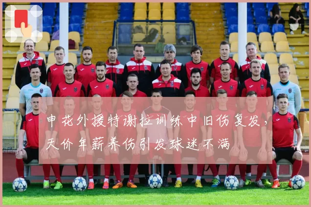 申花外援特谢拉训练中旧伤复发,天价年薪养伤引发球迷不满