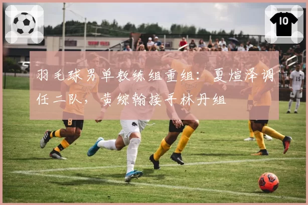羽毛球男单教练组重组:夏煊泽调任二队,黄综翰接手林丹组